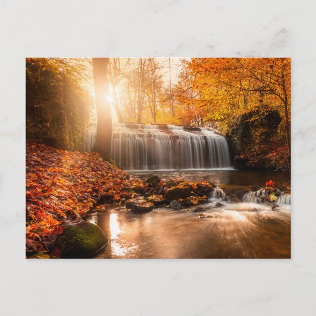 Holiday Postcard (Front)