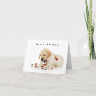 Holiday Puppy Playtime Merry Christmas Card