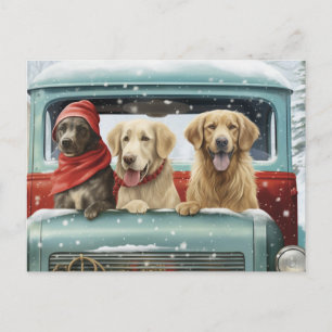 Holiday Pups Postcard