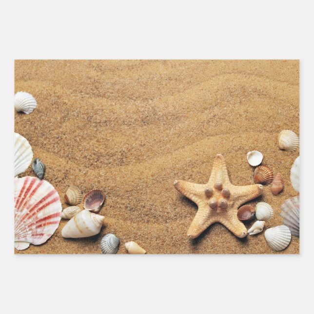 Holiday Seashells Beach Wrapping Paper Sheet (Front)