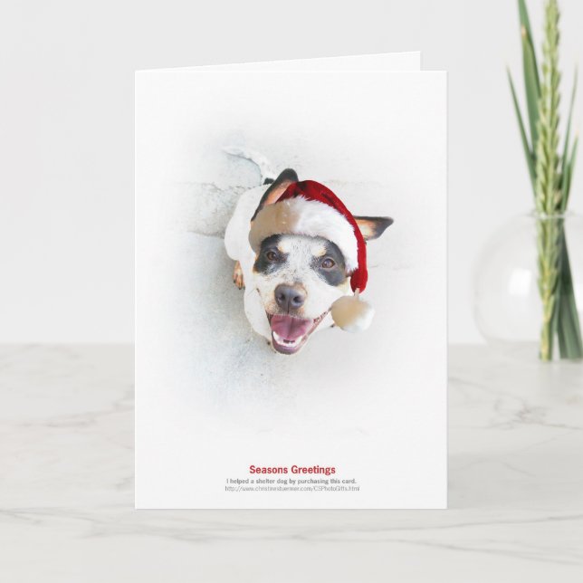 Holiday Shelter Dog Card (Front)