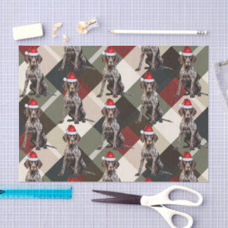 Holiday Shorthair Pointer Dog Red Plaid Christmas Tissue Paper