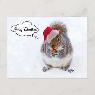 Holiday Squirrel Postcard