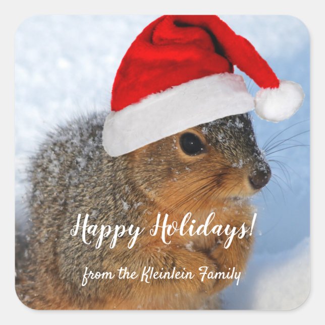 Holiday Squirrel Square Sticker (Front)