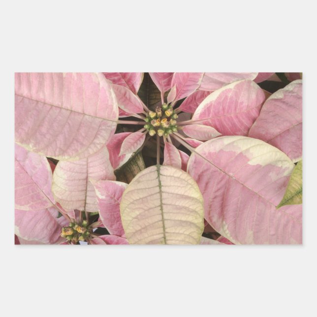 Holiday Stickers (Front)