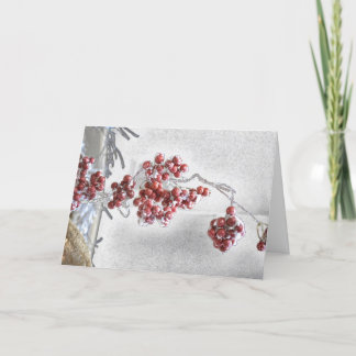 Holiday Winter Berries Card