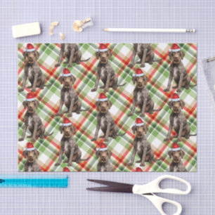 Holiday Wirehaired Pointer Dog Red Plaid Christmas Tissue Paper