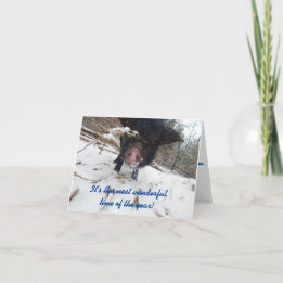 Holiday Wishes, Pig Christmas Card