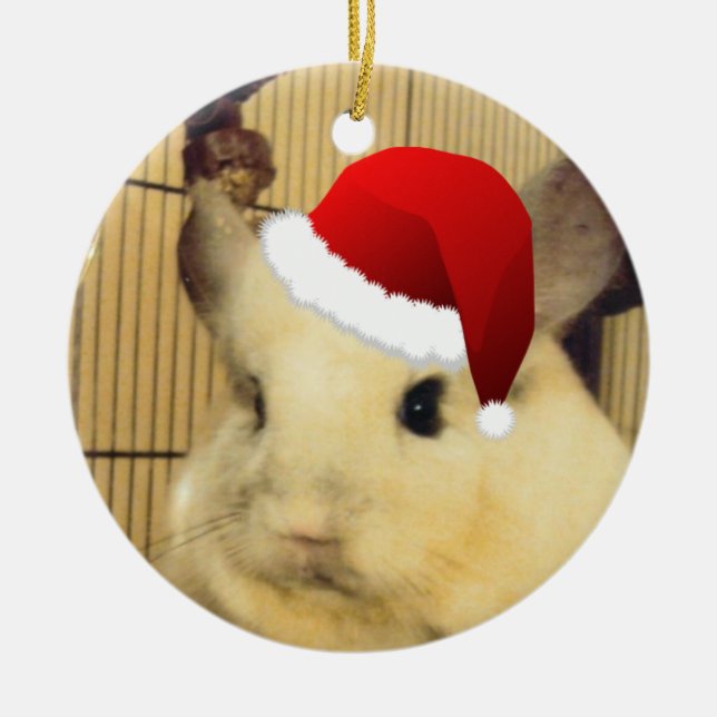 Holidays Chinchilla Ornament (Front)