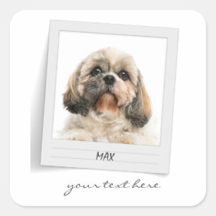Holidays Pet Birthday Photo Frame Personalized Square Sticker