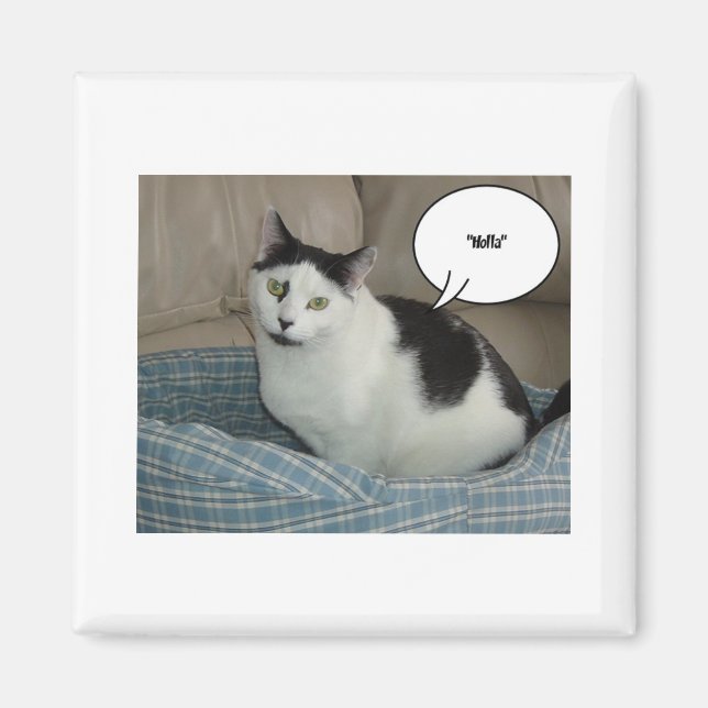 Holla! Magnet (Front)