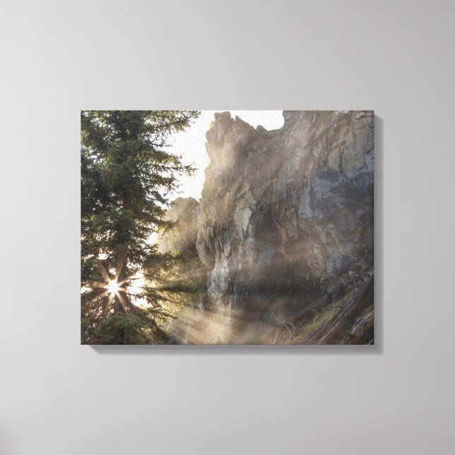 Holland Falls | Lolo National Forest, Montana Canvas Print (Front)