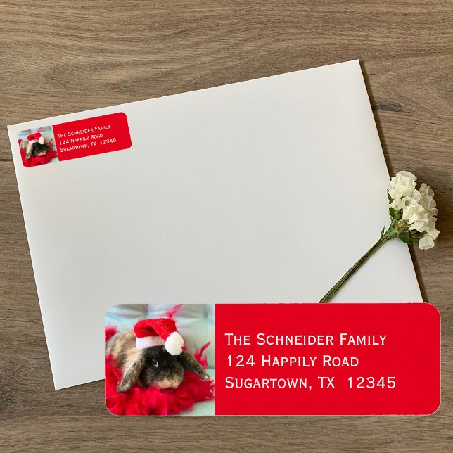 Holland Lop Bunny Rabbit Christmas Label (Creator Uploaded)