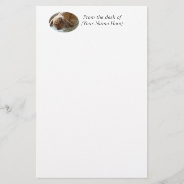Holland Lop Eared Rabbit Stationary Stationery (Front)