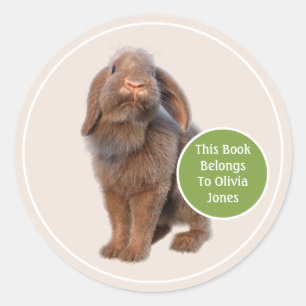 Holland Lop Rabbit Custom Bookplate Classic Round Sticker