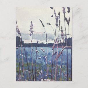 Holland SeaGrasses Postcard