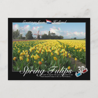 Holland Spring Tulips Landscape 3D Anaglyph Postcard