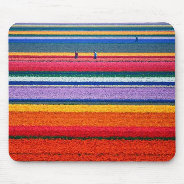 Holland, Tulip fields Mouse Pad (Front)