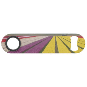 Holland Tulips Field Speed Bottle Opener