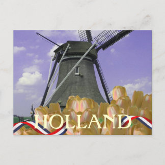 Holland Windmill Orange Tulips Postcard