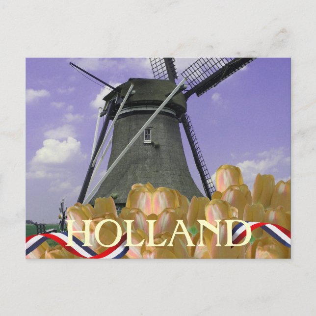 Holland Windmill Orange Tulips Postcard (Front)