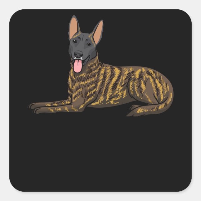 Hollandse Herdershond Dutch Shepherd Dog Square Sticker (Front)