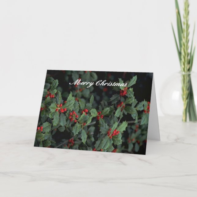 Holly 152 Christmas Card (Front)