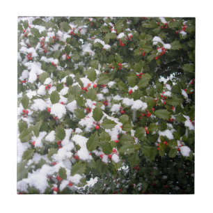 Holly and Snow Tile