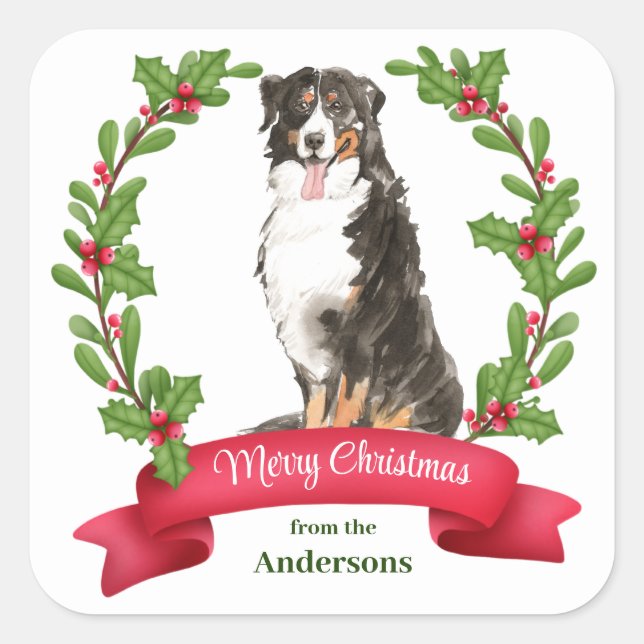 Holly Banner Bernese Mountain Dog Christmas Square Square Sticker (Front)