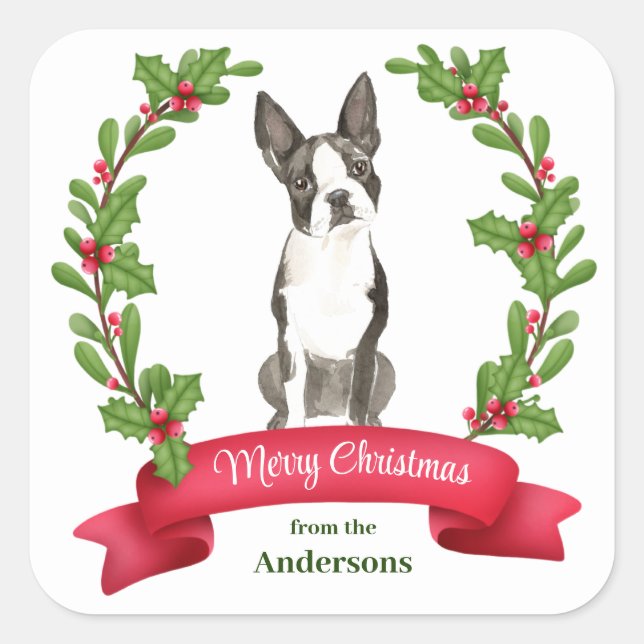 Holly Banner Boston Terrier Dog Christmas Square Sticker (Front)