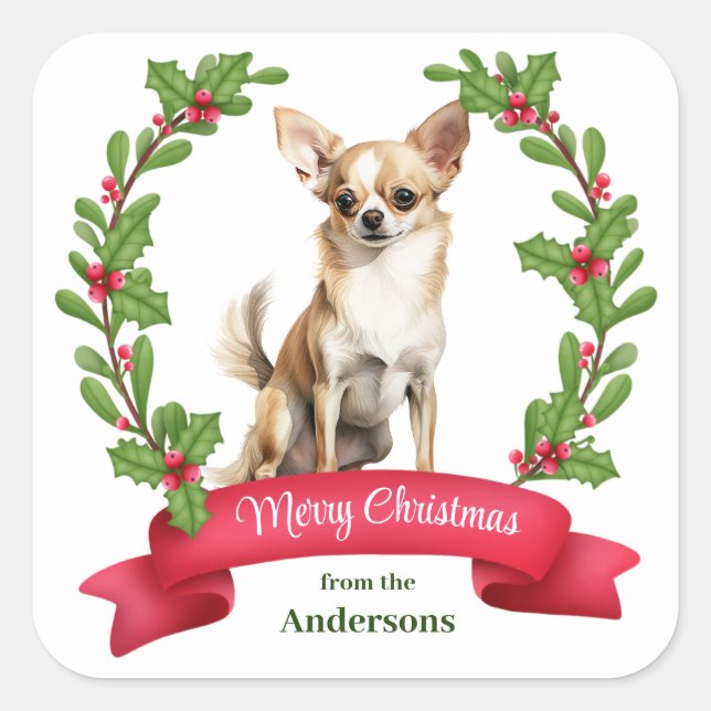 Holly Banner Brown White Chihuahua Dog Christmas Square Sticker (Front)