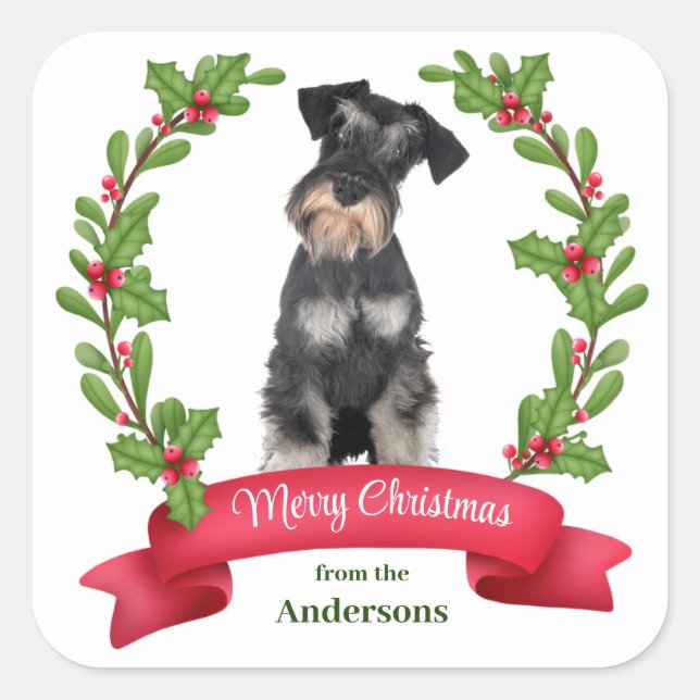 Holly Banner Miniature Schnauzer Dog Christmas Square Sticker (Front)