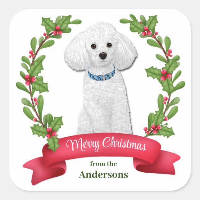 Holly Banner White Poodle Christmas Square Sticker (Front)