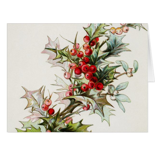 Holly Berries (Devant horizontal)