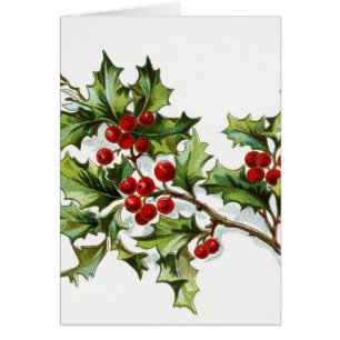 Holly Berries 002