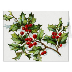 Holly Berries 002