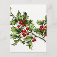 Holly Berries 002