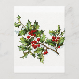 Holly Berries 002 Postcard
