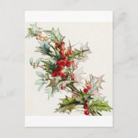 Holly Berries 004