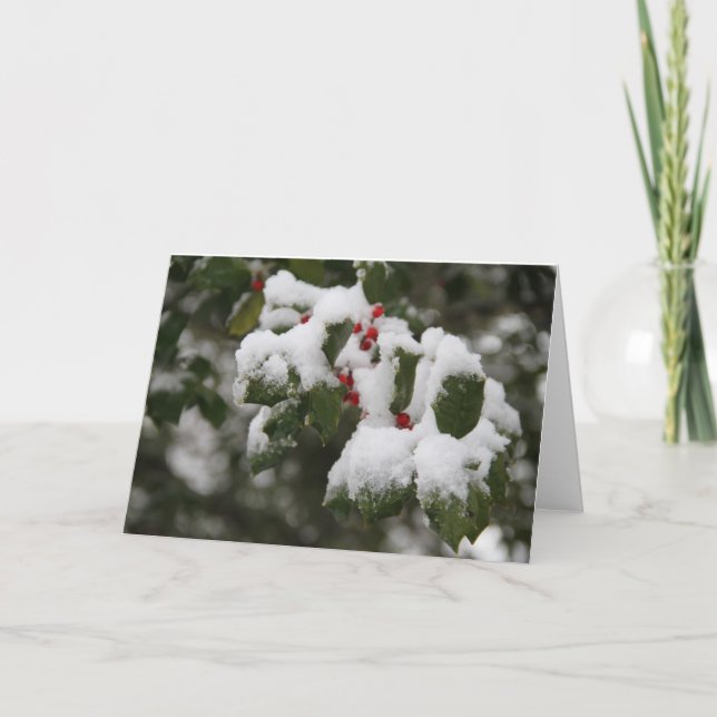 Holly dans la neige fraîche, carte blanche, utilis (Devant)