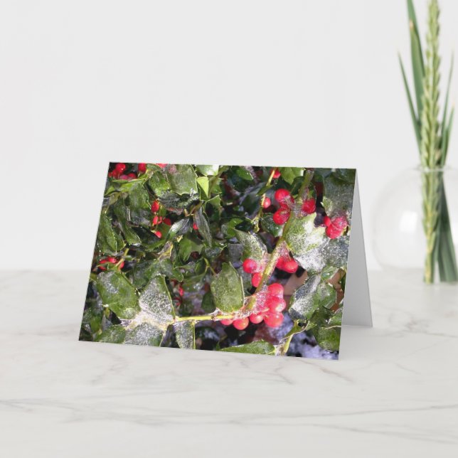 Holly Holiday Card (Front)