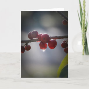 Holly in Water Droplets Greeting Card