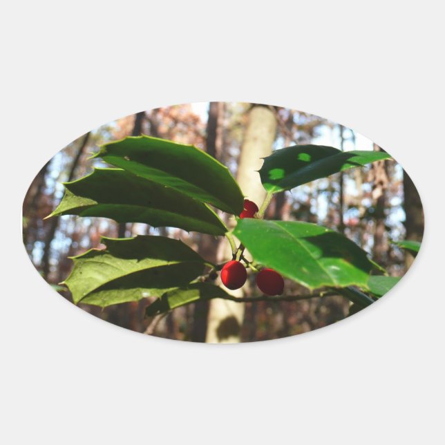 Holly Leaves I Holiday Botanical Oval Sticker (Front)