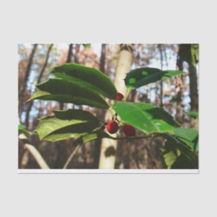 Holly Leaves I Holiday Botanical Tissue Paper