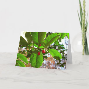 Holly Leaves II Holiday Nature Botanical Card