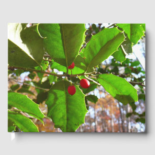 Holly Leaves II Holiday Nature Botanical Guest Book