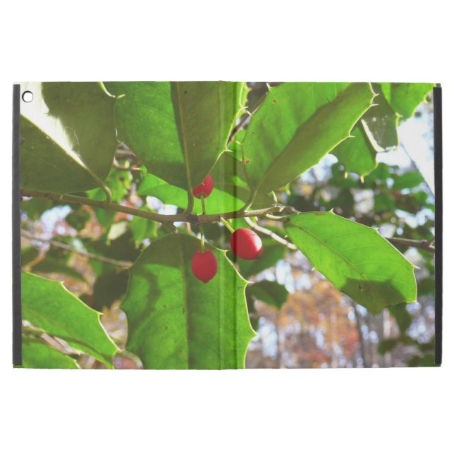 Holly Leaves II Holiday Nature Botanical iPad Pro 12.9" Case (Outside)