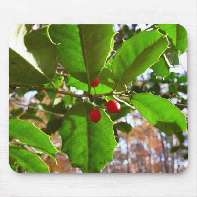 Holly Leaves II Holiday Nature Botanical Mouse Pad (Front)