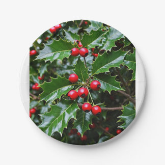 Holly paper plates