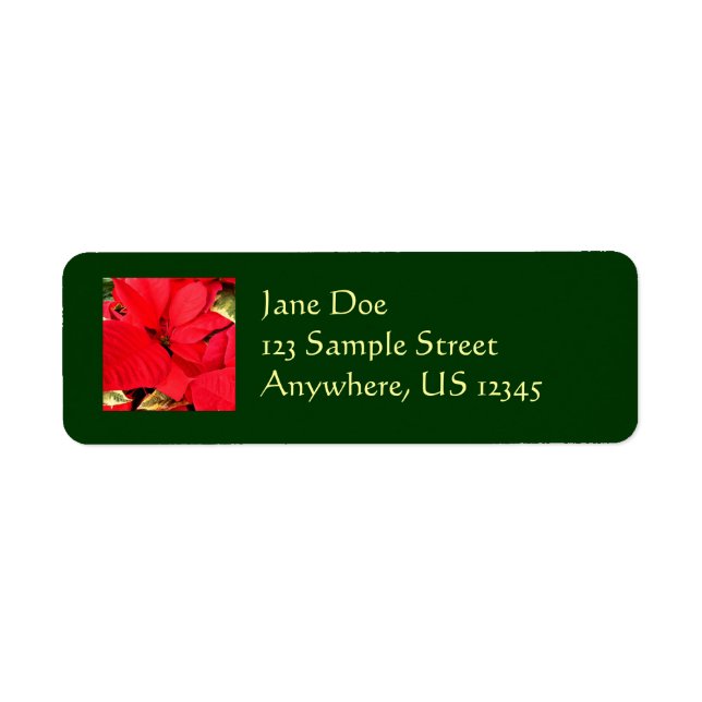 Holly Point Poinsettias Holiday Floral (Front)